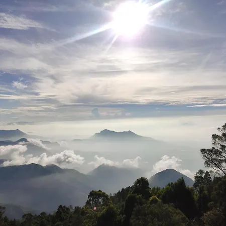 Praveen Woodhouse And Homestay Kodaikanal Vattakanal Exterior photo
