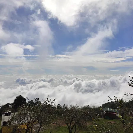 Praveen Woodhouse And Homestay Kodaikanal Vattakanal Exterior photo